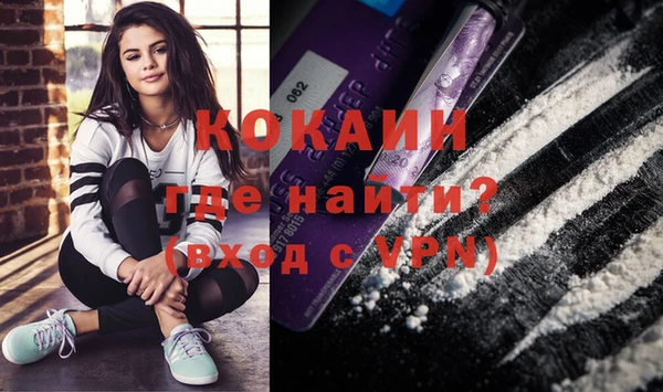 гашик Балахна