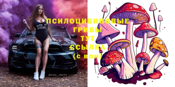 mdpv Беломорск