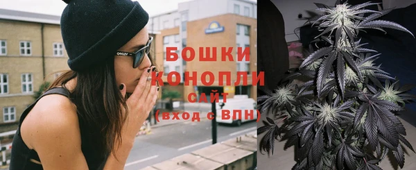 гашик Балахна