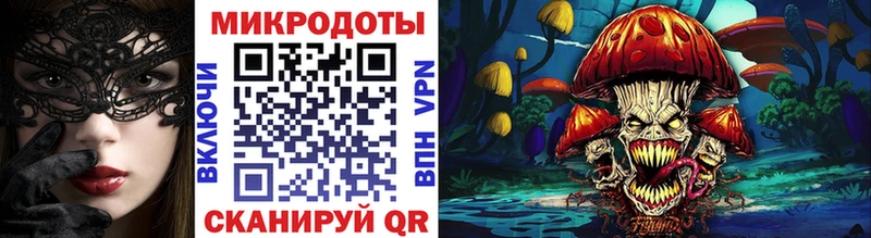 наркота  Ярцево  блэк спрут как зайти  Галлюциногенные грибы Psilocybe 